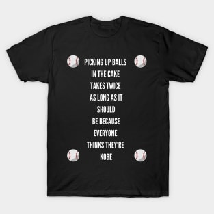 Baseball Gift for Player or Coach T-Shirt